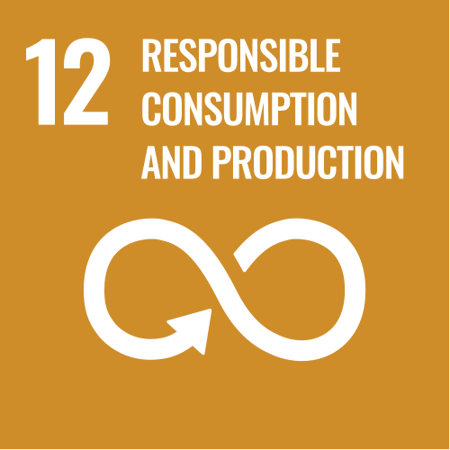 UN SDG 12